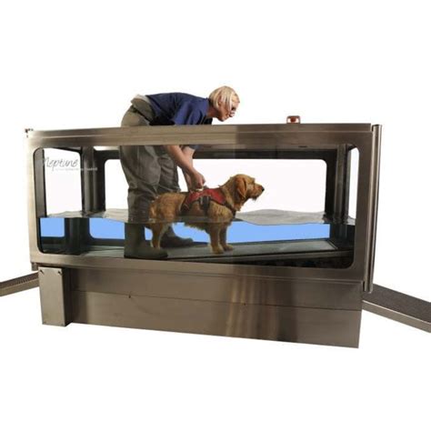 tudor treadmills|canine hydrotherapy treadmill for home.